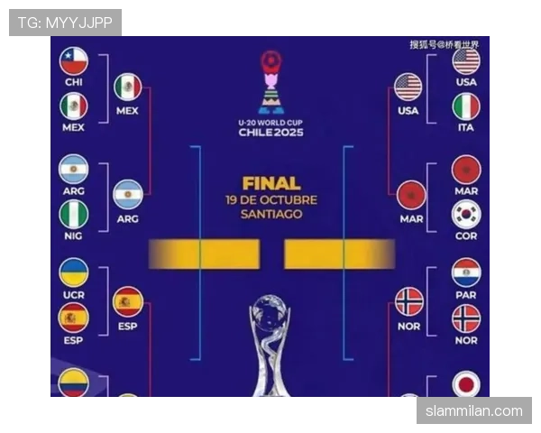 2026世界杯D组完整赛果：6场小组赛信息整理